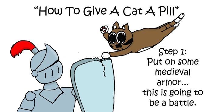 How To Give A Cat A Pill   At Pill 